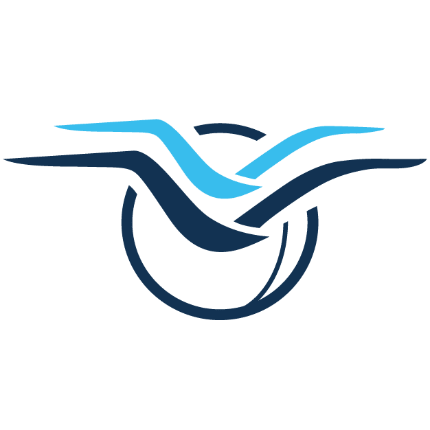 Novabanko First Credit Union logomark, seagulls flying over globe